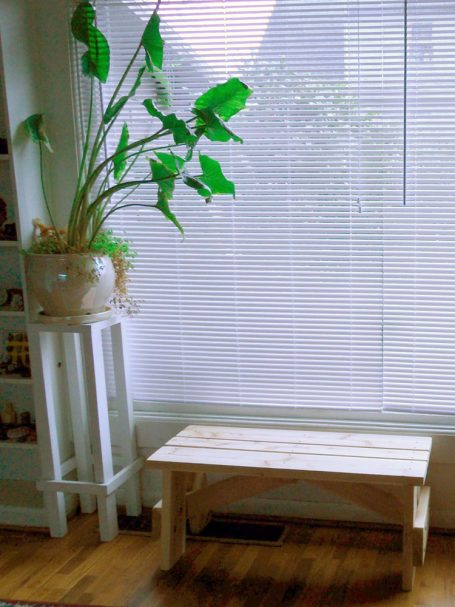 Front view of a Commercial quality eco-friendly Outdoor Picnic Table Bench in a house next to a plant.